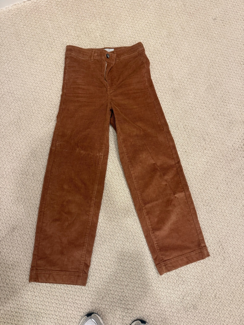 Everlane Rust Brown Corduroy Straight-Leg Pants